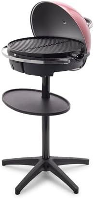 Cinnamon standing indoor and outdoor grill