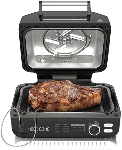 Multi function electric barbecue and air fryer